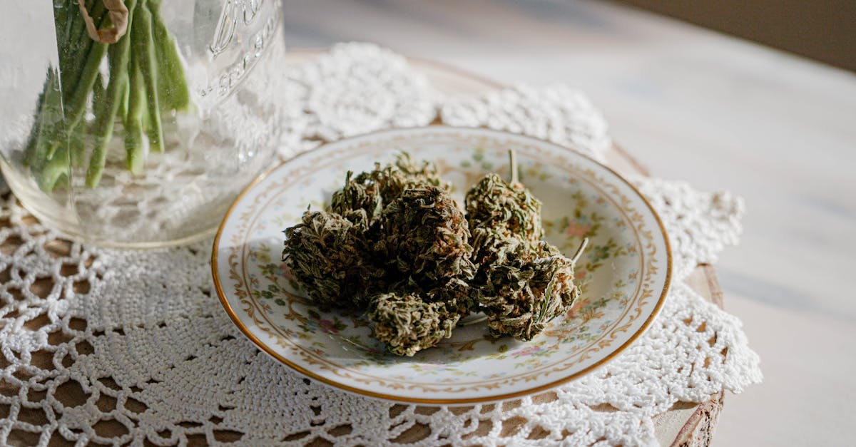 découvrez le monde fascinant du cannabis avec canna ! explorez nos articles informatifs sur les variétés, les bienfaits, les méthodes de culture et l'utilisation responsable du cannabis. que vous soyez novice ou expert, trouvez toutes les astuces et conseils pour profiter au mieux de cette plante aux mille vertus.
