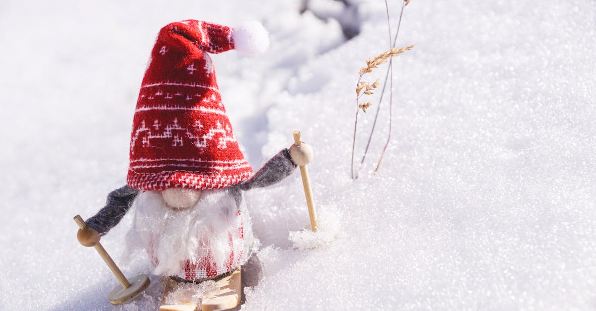 découvrez des idées uniques et enchanteurs pour décorer votre jardin et votre espace extérieur à noël. transformez votre maison en un véritable pays des merveilles hivernales avec des illuminations scintillantes, des guirlandes festives et des décorations thématiques qui émerveilleront vos voisins et vos invités.