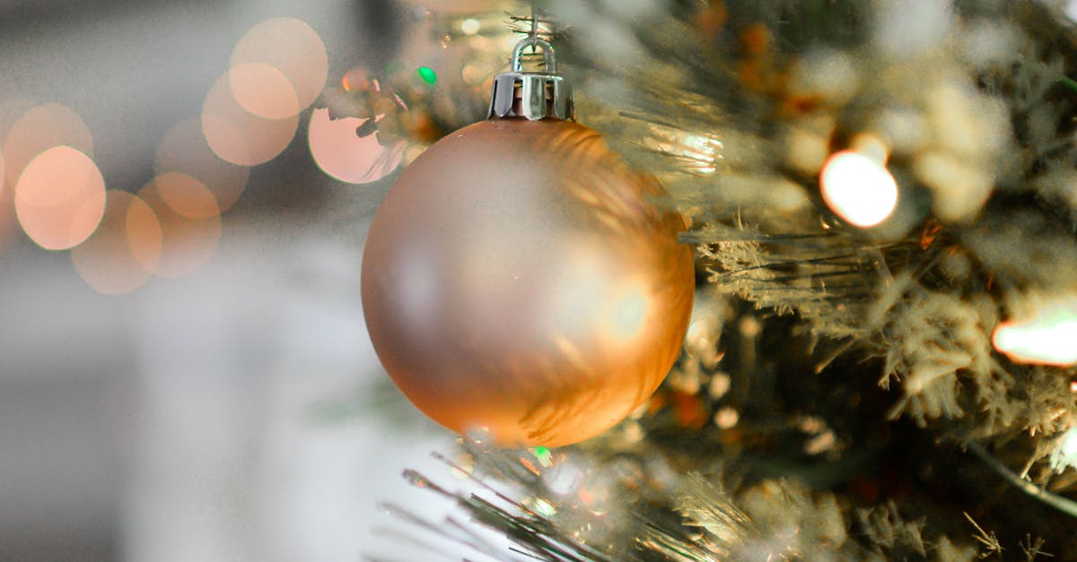 découvrez l'esprit de noël à travers des traditions, des décorations et des moments chaleureux en famille. plongez dans la magie des fêtes et laissez-vous envoûter par l'ambiance festive qui illumine cette période de l'année.