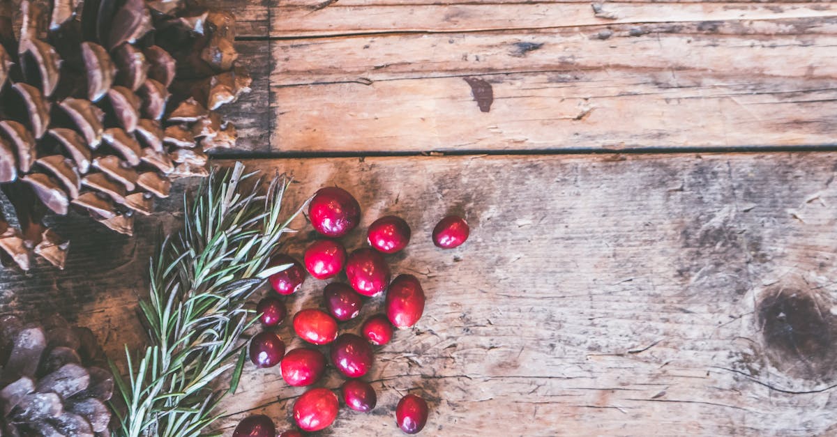 découvrez des idées inspirantes pour décorer votre table de noël avec élégance. des napperons festifs aux centres de table authentiques, transformez vos repas en moments inoubliables en apportant une touche magique à votre décoration de fête.