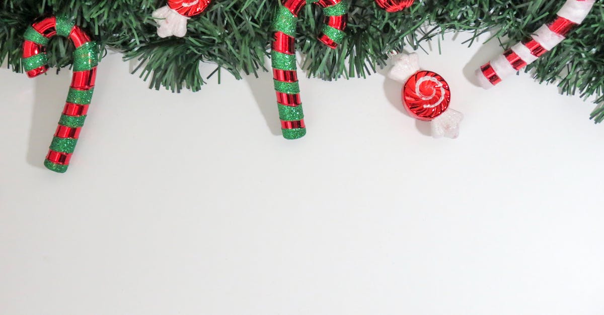 découvrez notre guide complet sur les arbres de noël : conseils pour choisir, décorer et entretenir votre sapin, afin de rendre vos fêtes encore plus magiques.