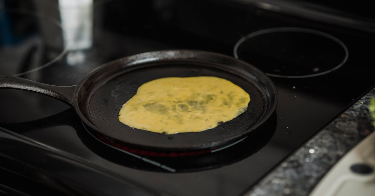 découvrez les différentes méthodes de cuisson qui transforment vos ingrédients en plats savoureux. explorez des techniques variées, des plus simples aux plus élaborées, pour rehausser vos recettes et impressionner vos convives.