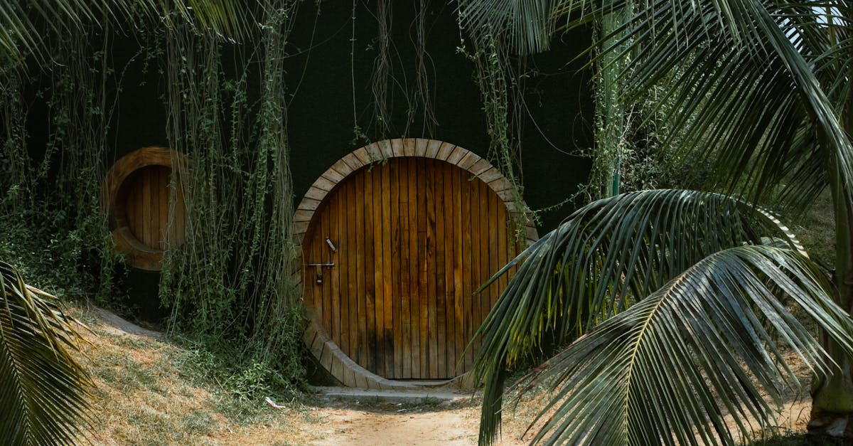 découvrez l'enchantement d'un jardin féérique où la nature révèle toute sa magie. plongez dans un univers vibrant de couleurs, de parfums envoûtants et de paysages sereins, un lieu idéal pour la détente et l'inspiration.