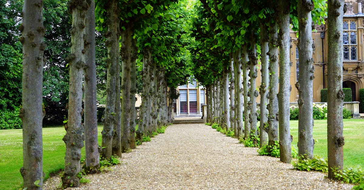 découvrez le jardinage comme jamais auparavant ! explorez des conseils pratiques, des astuces de professionnels et des idées créatives pour transformer votre espace extérieur en un véritable havre de paix. que vous soyez débutant ou expert, trouvez l'inspiration pour faire fleurir votre jardin.