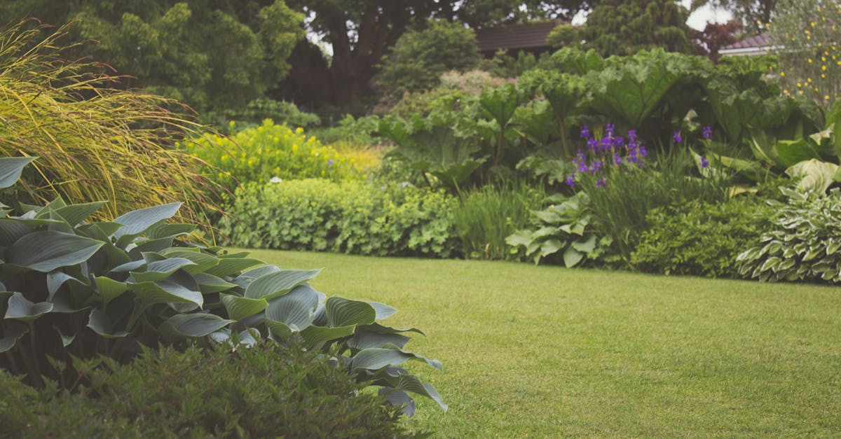 découvrez l'univers enchanteur des jardins : idées d'aménagement, conseils de jardinage, et astuces pour créer un espace paisible et verdoyant chez vous.