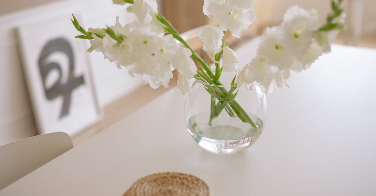 découvrez l'univers fascinant du gladiolus, une fleur majestueuse aux couleurs éclatantes. apprenez tout sur ses variétés, son entretien et son utilisation en jardinerie pour embellir vos espaces extérieurs.