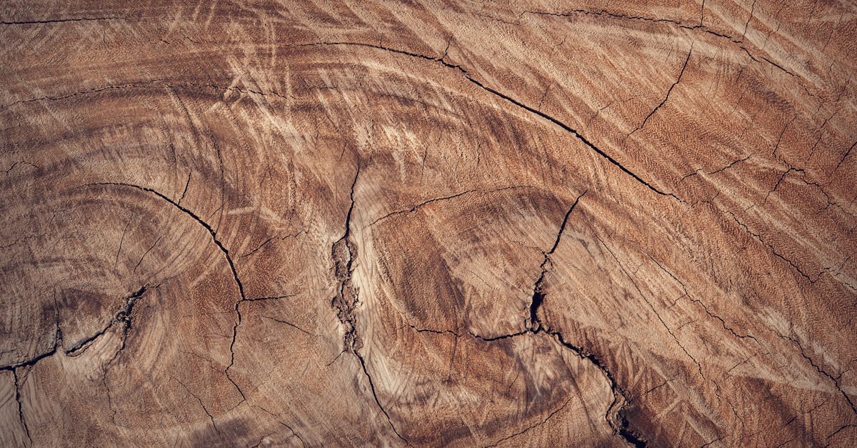 découvrez l'univers du bois : matériaux, utilisations et conseils pratiques pour intégrer le bois dans votre intérieur et jardin. explorez les variétés, les techniques de travaillage et les tendances actuelles.