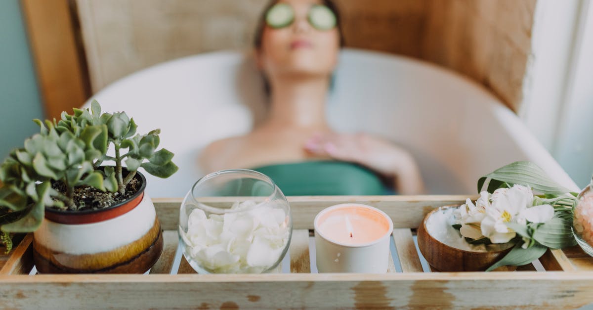 découvrez l'univers apaisant des plantes zen, qui apportent sérénité et bien-être à votre intérieur. idéales pour créer un espace de détente, ces plantes sont non seulement décoratives mais aussi bénéfiques pour votre santé. apprenez à choisir et à entretenir ces alliées du quotidien.