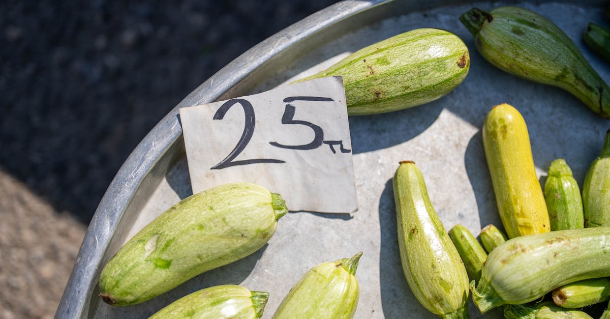 découvrez comment cuisiner le zucchini de manière délicieuse et saine. recettes, astuces et conseils pour apprécier ce légume polyvalent dans vos plats quotidiens.