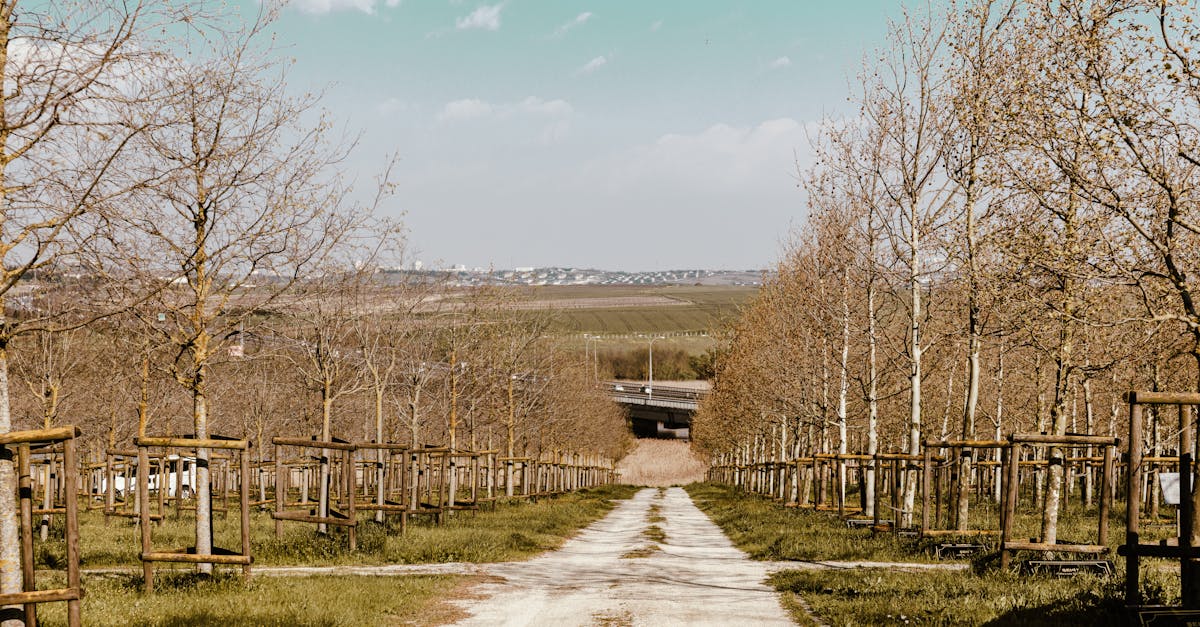 découvrez les chambres d'agriculture, institutions essentielles au soutien des agriculteurs en france. explorez leur rôle dans l'accompagnement, la formation et le développement des initiatives agricoles pour promouvoir une agriculture durable et innovante.