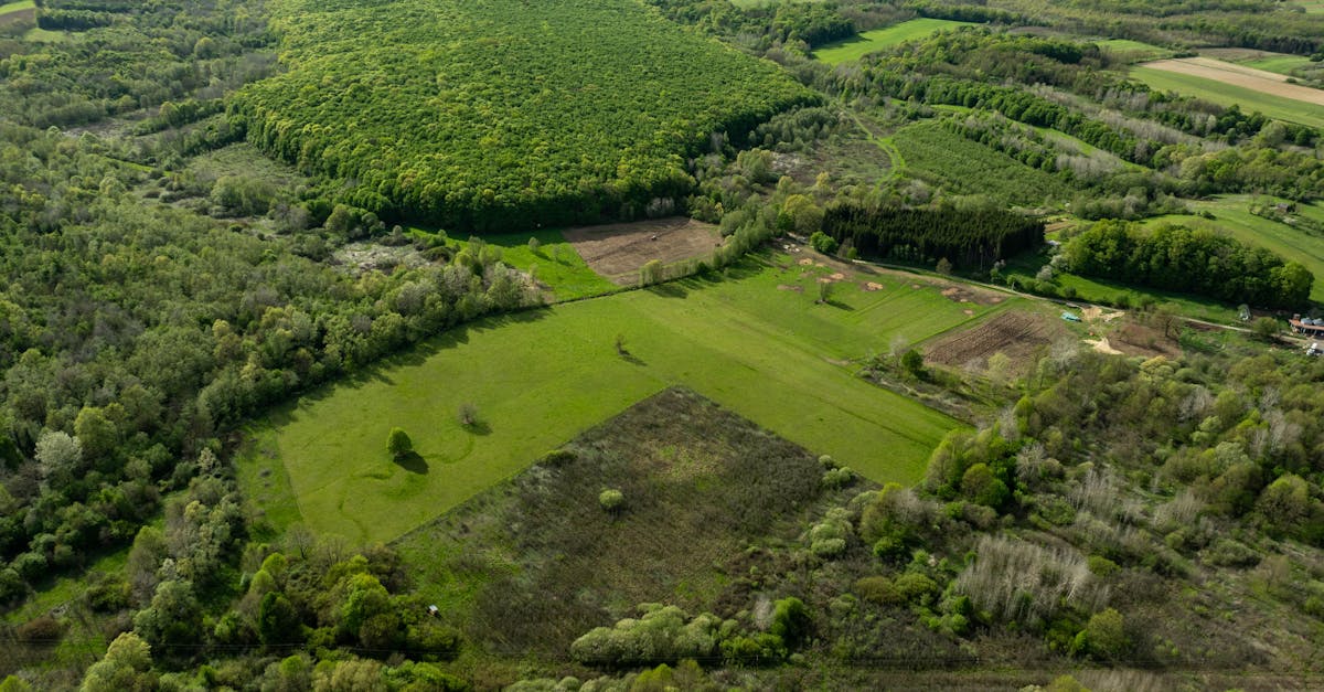 découvrez les chambres d'agriculture, des institutions essentielles au service des agriculteurs et de l'agriculture en france. informez-vous sur leurs missions, services et l'accompagnement qu'elles offrent pour promouvoir le développement durable et soutenir les initiatives agricoles.