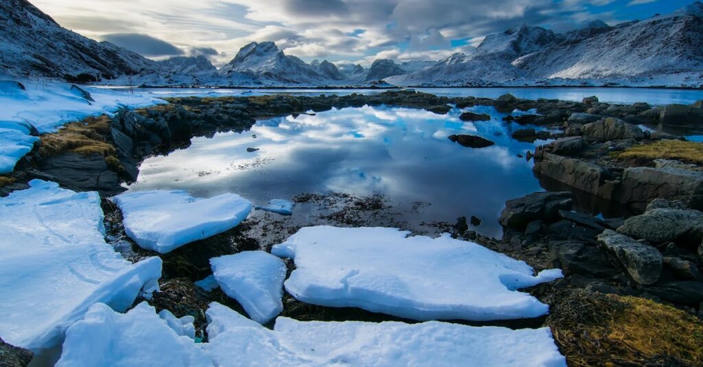 Le débroussaillage : comprendre les obligations, sanctions et règles en vigueur découvrez le processus de clearing, essentiel pour assurer la liquidité et la sécurité des transactions financières. apprenez comment le clearing facilite la compensation entre acheteurs et vendeurs, garantissant ainsi des échanges transparents et efficaces sur les marchés.