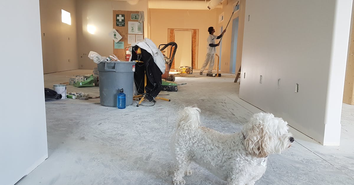 découvrez les coûts de rénovation de votre revêtement de sol. que vous souhaitiez remplacer votre moquette, votre carrelage ou votre parquet, notre guide vous offre des estimations détaillées, des conseils pratiques et des astuces pour optimiser votre budget. informez-vous sur les matériaux, la main-d'œuvre et les tendances actuelles pour mener à bien votre projet de rénovation!