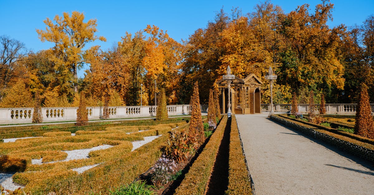 découvrez nos conseils et techniques professionnelles pour le taille de haies. apprenez à entretenir vos espaces verts tout en préservant la santé de vos plantations. transformez votre jardin avec une taille de haies efficace et esthétique.