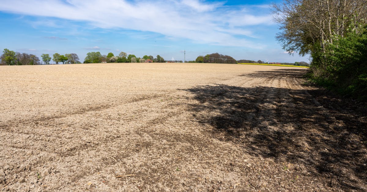 découvrez les secrets d'un sol idéal pour vos plantations. apprenez à améliorer la qualité de votre terre grâce à des conseils pratiques et des techniques adaptées. obtenez des récoltes abondantes et un jardin florissant en optimisant votre sol.