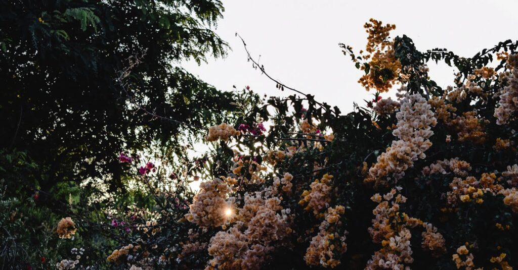 découvrez l'harmonie des paysages dans un jardin méditerranéen, où les couleurs éclatantes des fleurs et l'arôme des plantes aromatiques créent un havre de paix ensoleillé. inspirez-vous de nos conseils pour concevoir votre propre oasis méditerranéenne.