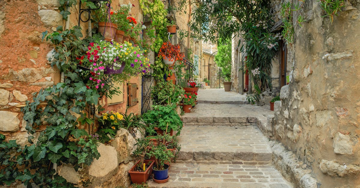 découvrez l'élégance d'un jardin méditerranéen, où la beauté des plantes aromatiques, des fleurs colorées et des éléments naturels se marie à l'architecture. créez un espace extérieur enchanteur qui évoque la douceur de vivre des bords de mer.