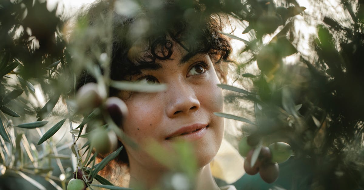 découvrez l'art de la création d'un jardin méditerranéen, alliant couleurs vives, plantes aromatiques et ambiance chaleureuse. explorez nos conseils pour faire de votre espace extérieur un véritable havre de paix inspiré des paysages ensoleillés de la méditerranée.