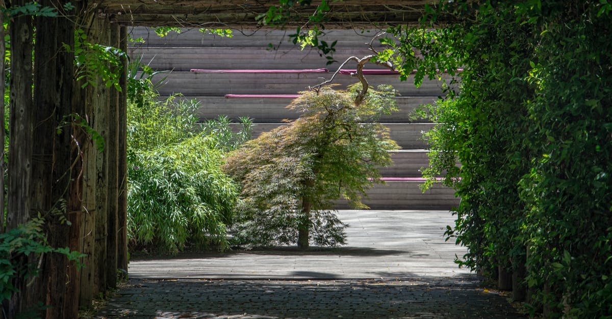 découvrez des idées innovantes et durables pour l'aménagement paysager en bois extérieur. transformez votre jardin en un espace naturel et accueillant grâce à des solutions esthétiques et respectueuses de l'environnement.