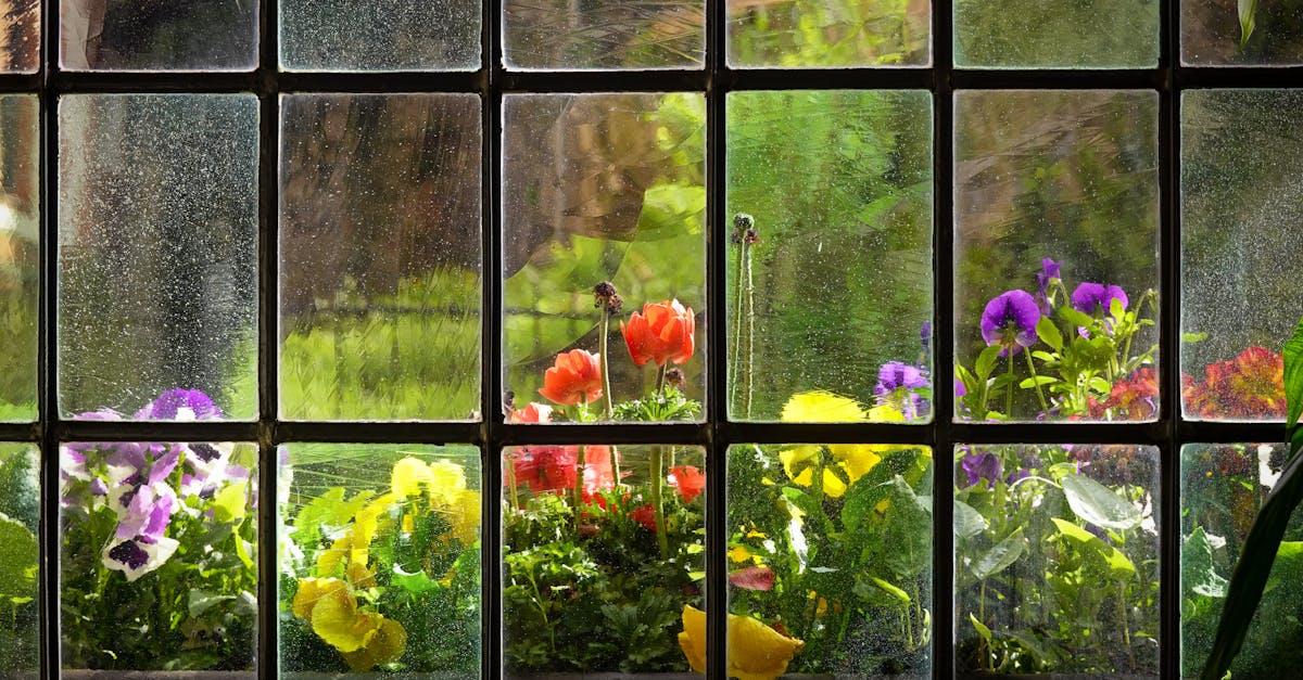 découvrez le monde fascinant des plantes vivaces (perennials) : des fleurs durables et des feuillages luxuriants qui embellissent votre jardin année après année. apprenez à choisir, cultiver et entretenir ces trésors botaniques pour un espace extérieur toujours coloré.