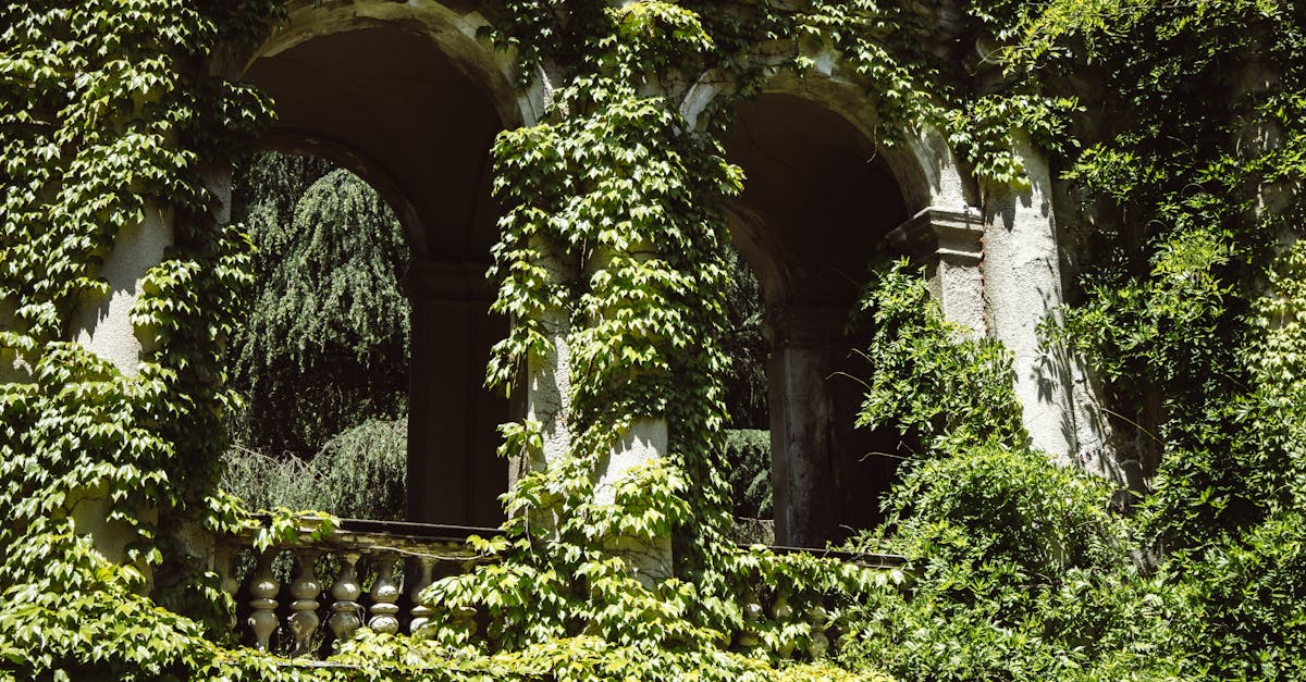 découvrez nos pergolas élégantes et fonctionnelles, parfaites pour embellir votre espace extérieur. offrant ombre et confort, elles sont idéales pour profiter de votre jardin tout au long de l'année.