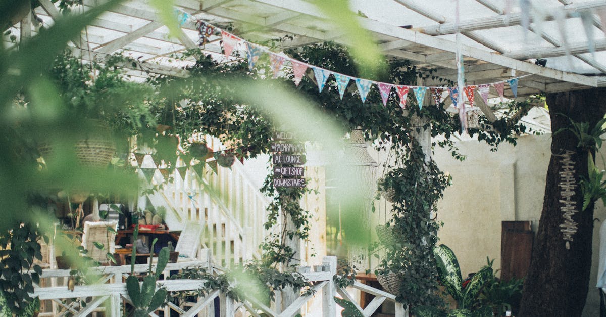 découvrez nos pergolas élégantes et fonctionnelles, idéales pour embellir votre jardin tout en vous offrant confort et ombre. profitez de vos espaces extérieurs toute l'année avec style.