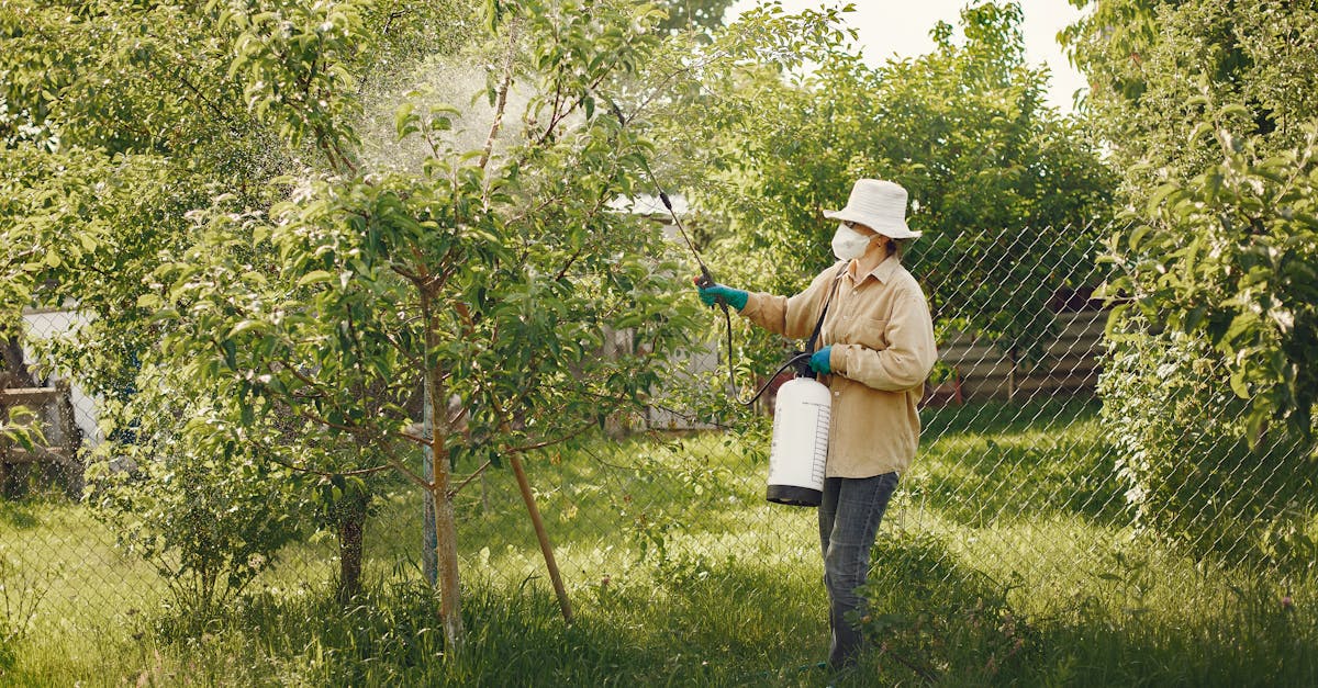 découvrez l'impact des pesticides sur l'environnement et la santé. apprenez-en plus sur les alternatives durables et les pratiques agricoles éco-responsables pour un avenir sans pesticides.