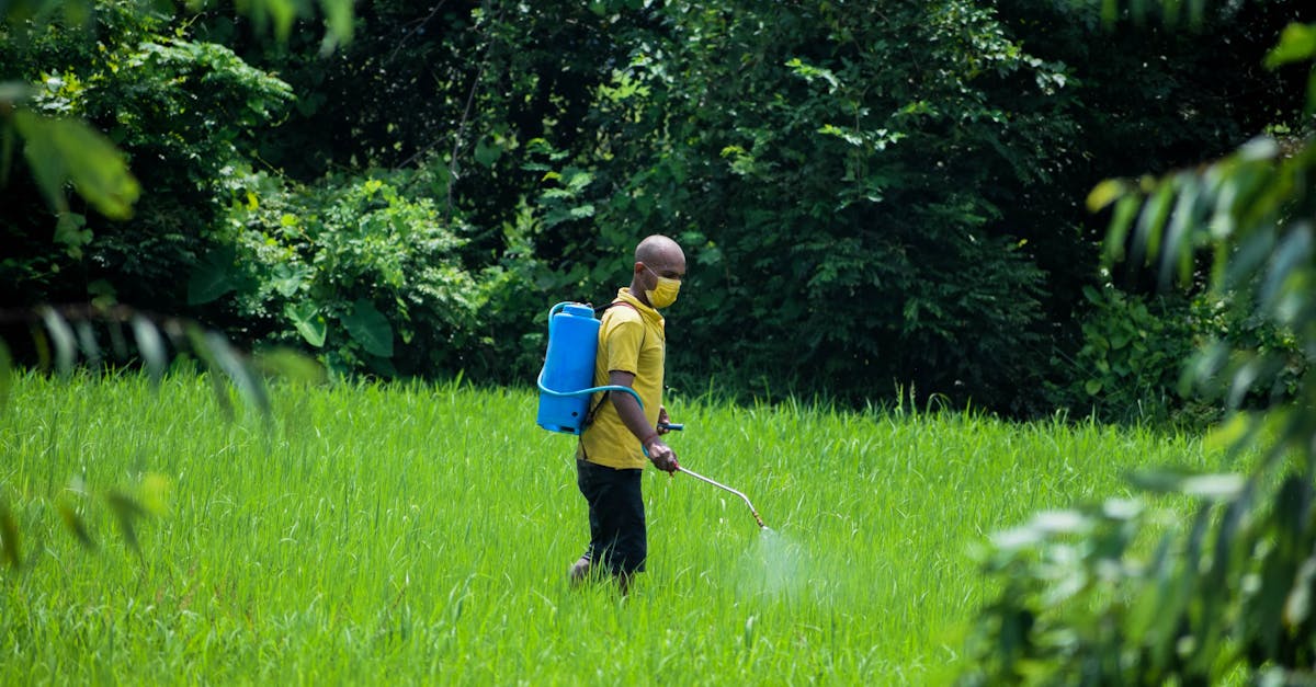 découvrez les différents types de pesticides, leur utilisation dans l'agriculture et les préoccupations environnementales qui les entourent. apprenez comment ces substances affectent la santé humaine et les écosystèmes, ainsi que les alternatives durables pour protéger nos cultures.