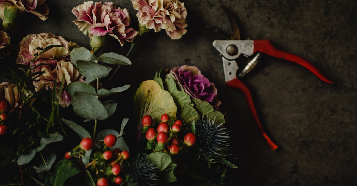 découvrez l'art de la taille des plantes avec nos conseils pratiques sur le pruning. apprenez à maintenir vos jardins en pleine santé en maîtrisant les techniques de taille adaptées à chaque espèce.