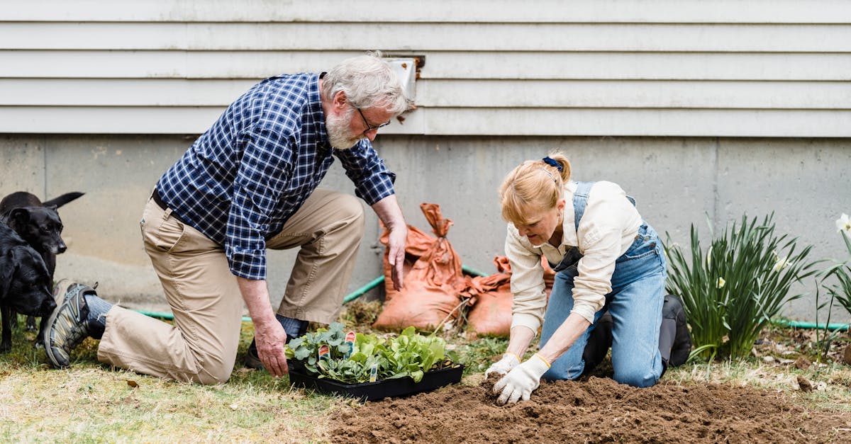 découvrez l'art de la taille des plantes : techniques, conseils et astuces pour une croissance saine de votre jardin. apprenez à améliorer l'esthétique et la santé de vos arbres et arbustes grâce à des méthodes de taille appropriées.