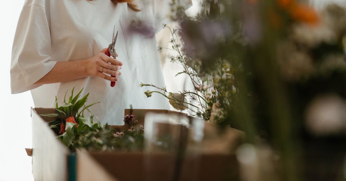 découvrez l'art de la taille : techniques, conseils et avantages pour vos plantes. apprenez à favoriser la croissance et la floraison de votre jardin grâce à des méthodes efficaces de pruning.