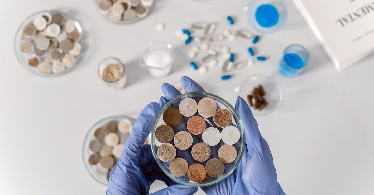 découvrez l'importance de l'analyse des sols pour optimiser la qualité de vos cultures. apprenez à évaluer la composition, la fertilité et les besoins spécifiques de votre terre afin d'améliorer vos rendements agricoles et de préserver l'environnement.