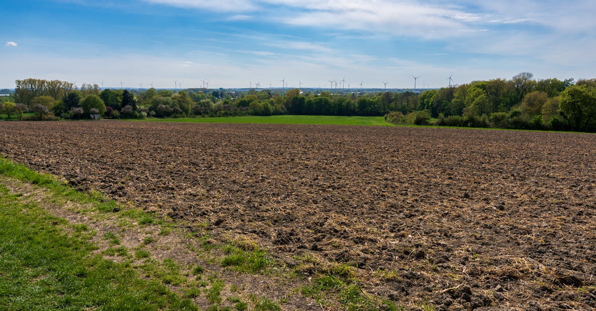 découvrez l'importance de l'analyse des sols pour améliorer la santé et la fertilité de vos cultures. apprenez comment déterminer les besoins en nutriments, optimiser les rendements et préserver l'environnement grâce à des techniques de laboratoire avancées.