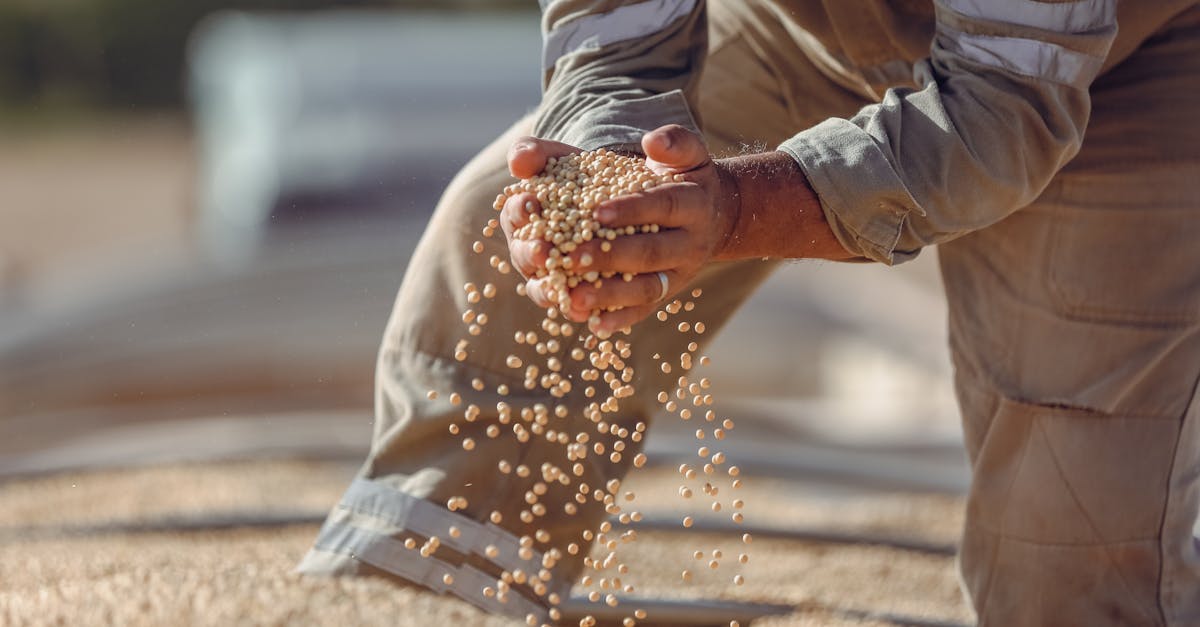 découvrez l'importance de l'analyse du sol pour optimiser vos cultures et améliorer la qualité de votre terre. obtenez des informations précieuses sur la composition, la fertilité et la santé de votre sol pour garantir des rendements supérieurs.