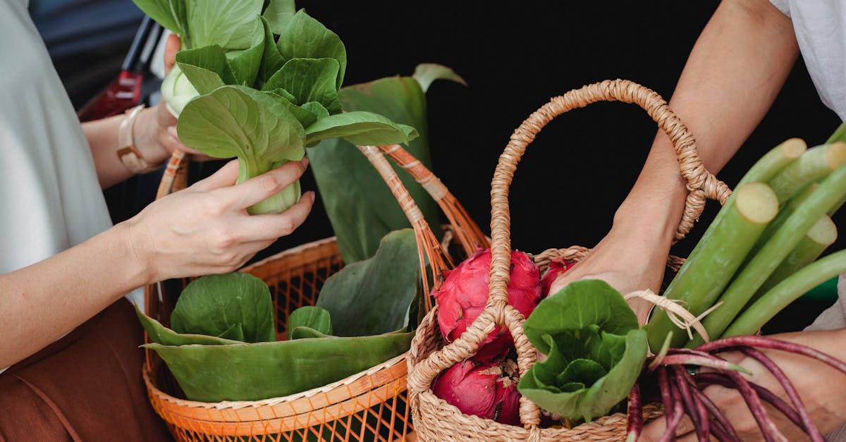 découvrez comment créer un jardin durable qui respecte l'environnement tout en embellissant votre espace extérieur. apprenez des techniques de jardinage écoresponsables, la sélection de plantes adaptées et des méthodes de culture pour favoriser la biodiversité et réduire votre impact écologique.