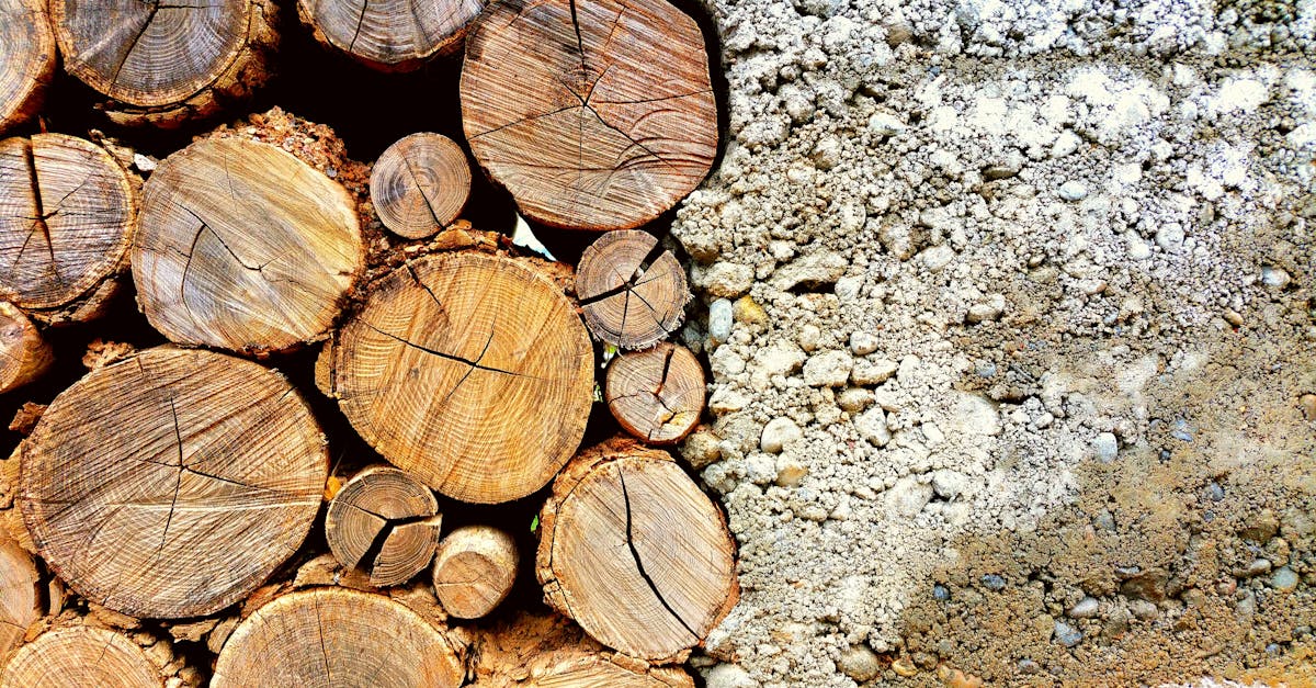 découvrez comment les matériaux durables transforment notre manière de concevoir et de construire. explorez les avantages écologiques et économiques de l'utilisation de ressources respectueuses de l'environnement dans divers secteurs.