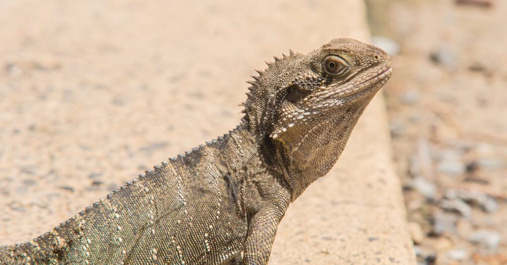 Tout savoir sur le chauffage de terrasse : coûts, catégories, installation et sécurité découvrez nos solutions de chauffage pour terrasse, idéales pour prolonger vos soirées en plein air même par temps frais. profitez d'une ambiance chaleureuse et conviviale avec nos systèmes de chauffage élégants et efficaces.