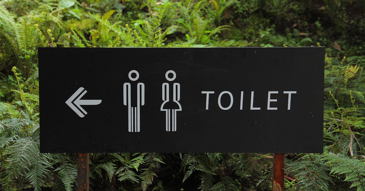 découvrez les solutions efficaces pour gérer les débordements de toilettes. apprenez à identifier les causes et à réparer ce désagrément rapidement.
