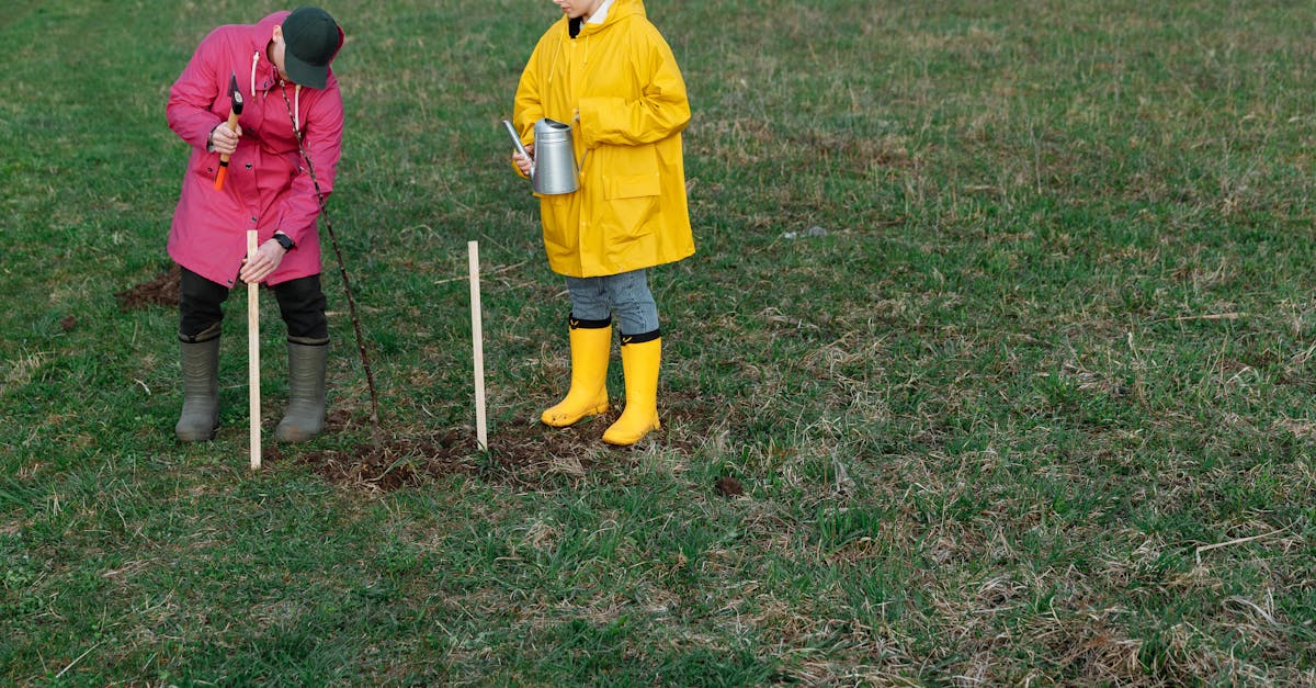 découvrez l'importance de la plantation d'arbres pour la préservation de notre environnement. apprenez les étapes essentielles pour planter des arbres de manière efficace et contribuez à un avenir plus vert et durable.
