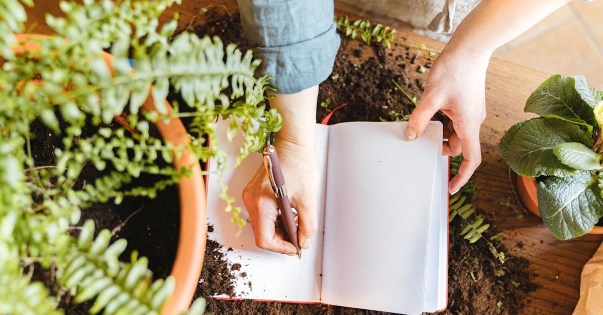 découvrez l'art du jardinage urbain : cultivez vos propres plantes, fruits et légumes en milieu urbain, tout en optimisant votre espace. transformez votre balcon ou votre petite cour en un véritable havre de verdure et soutenez une alimentation durable.