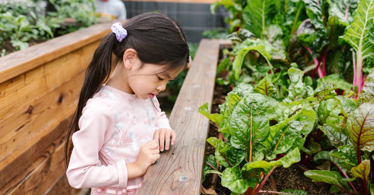 découvrez le jardinage urbain et apprenez comment cultiver vos propres plantes en milieu urbain. transformez vos balcons, terrasses et petits espaces en oasis verdoyantes, tout en contribuant à un mode de vie durable et respectueux de l'environnement.