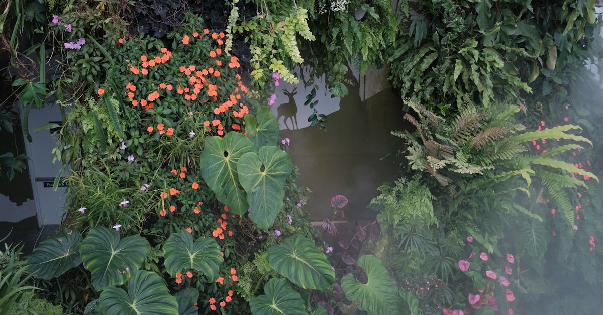 découvrez l'art du jardin vertical : une solution innovante pour cultiver vos plantes en milieu urbain. transformez vos murs en véritables espaces verts, améliorez la qualité de l'air et décorez votre intérieur ou votre extérieur avec style. apprenez les meilleures astuces pour créer et entretenir votre jardin vertical.