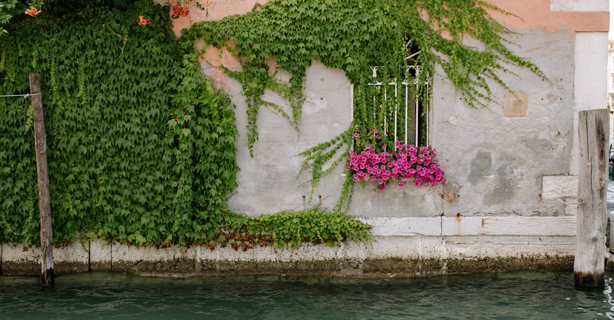 découvrez l'art du jardin vertical : une solution innovante pour transformer vos espaces intérieurs et extérieurs en oasis de verdure. apprenez à créer et entretenir votre jardin vertical, tout en profitant des bienfaits des plantes sur votre bien-être et votre environnement.