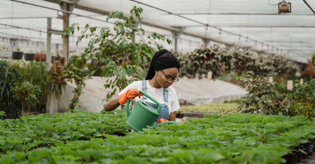 découvrez notre gamme de pompes à eau performantes et efficaces, idéales pour l'irrigation de votre jardin ou votre exploitation agricole. garantissez une distribution d'eau optimale grâce à nos modèles adaptés à tous vos besoins.