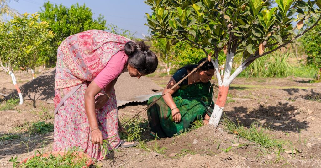 Désherbage : méthodes, temps nécessaire et coût des services de jardinage découvrez des idées inspirantes et des conseils pratiques pour organiser le mariage de vos rêves. que vous planifiiez une cérémonie intime ou une grande célébration, trouvez tout ce dont vous avez besoin pour faire de ce jour un moment inoubliable.