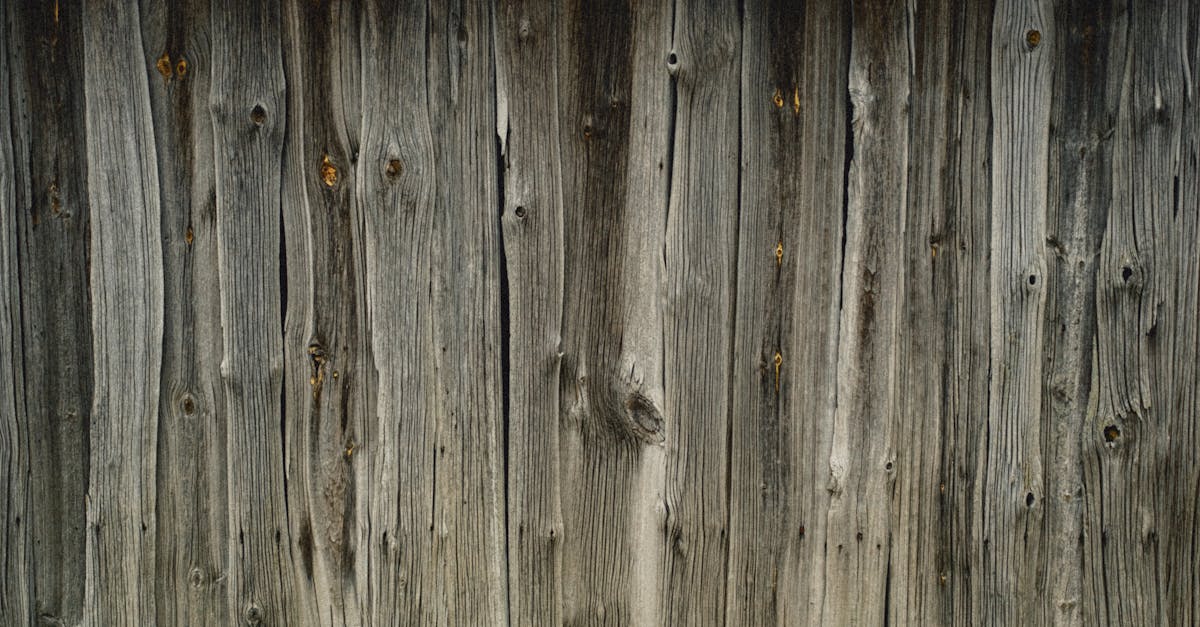 découvrez notre gamme de clôtures en bois, alliant esthétique et robustesse. parfaites pour délimiter vos espaces extérieurs tout en ajoutant une touche naturelle à votre jardin. quel que soit votre style, nos clôtures en bois s'adaptent à toutes vos envies.
