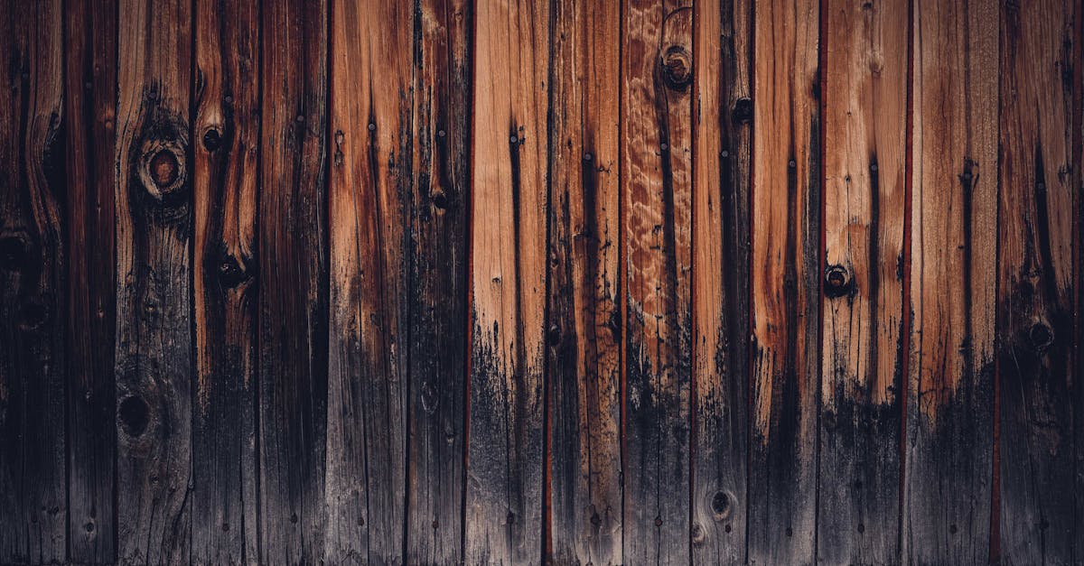 découvrez notre guide sur les murs en bois, où nous explorons les différents matériaux, designs et avantages esthétiques. apprenez à intégrer des murs en bois dans votre intérieur pour une ambiance chaleureuse et naturelle.