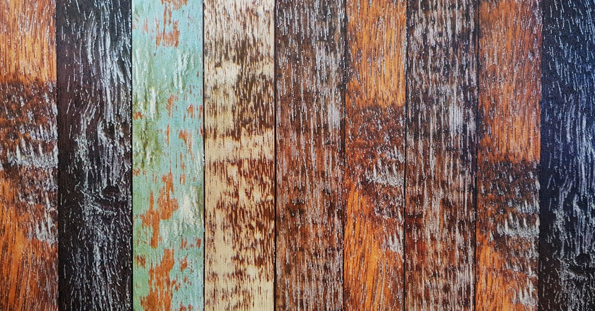 découvrez l'élégance et la chaleur des murs en bois. transformez votre intérieur avec des designs uniques et durables, alliant esthétique et fonctionnalité. idéal pour toutes les pièces, le bois apporte une touche naturelle à votre décoration.