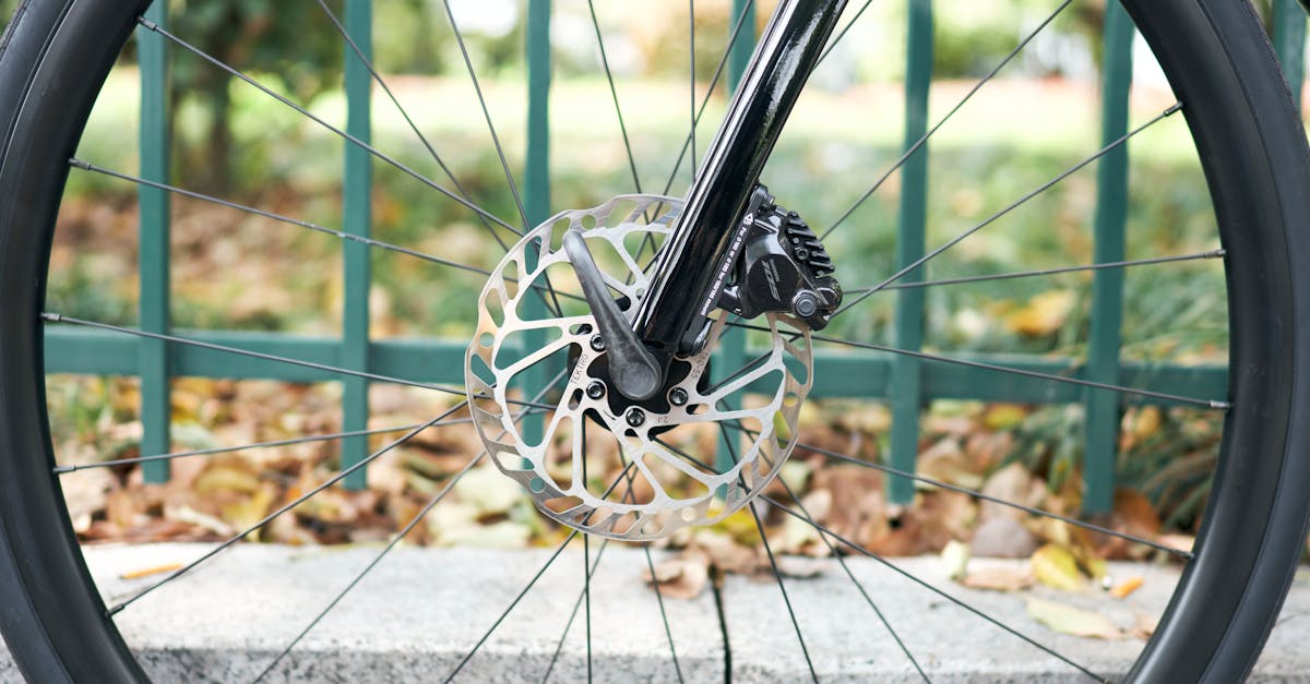 découvrez nos clôtures en aluminium alliant durabilité et esthétisme. idéales pour délimiter vos espaces extérieurs avec style tout en nécessitant peu d'entretien. parfaites pour allier sécurité et design !