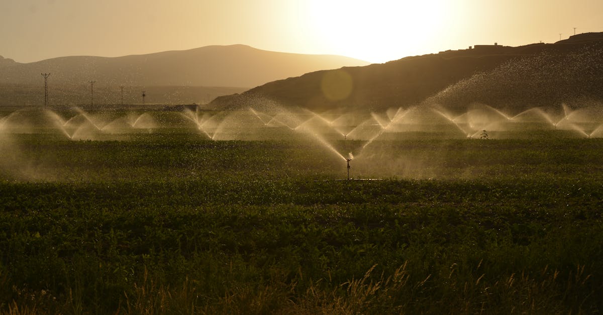 découvrez l'irrigation automatique, une solution innovante et efficace pour optimiser l'arrosage de vos plantes. profitez d'un jardin luxuriant sans effort grâce à des systèmes intelligents qui sauvent temps et ressources.